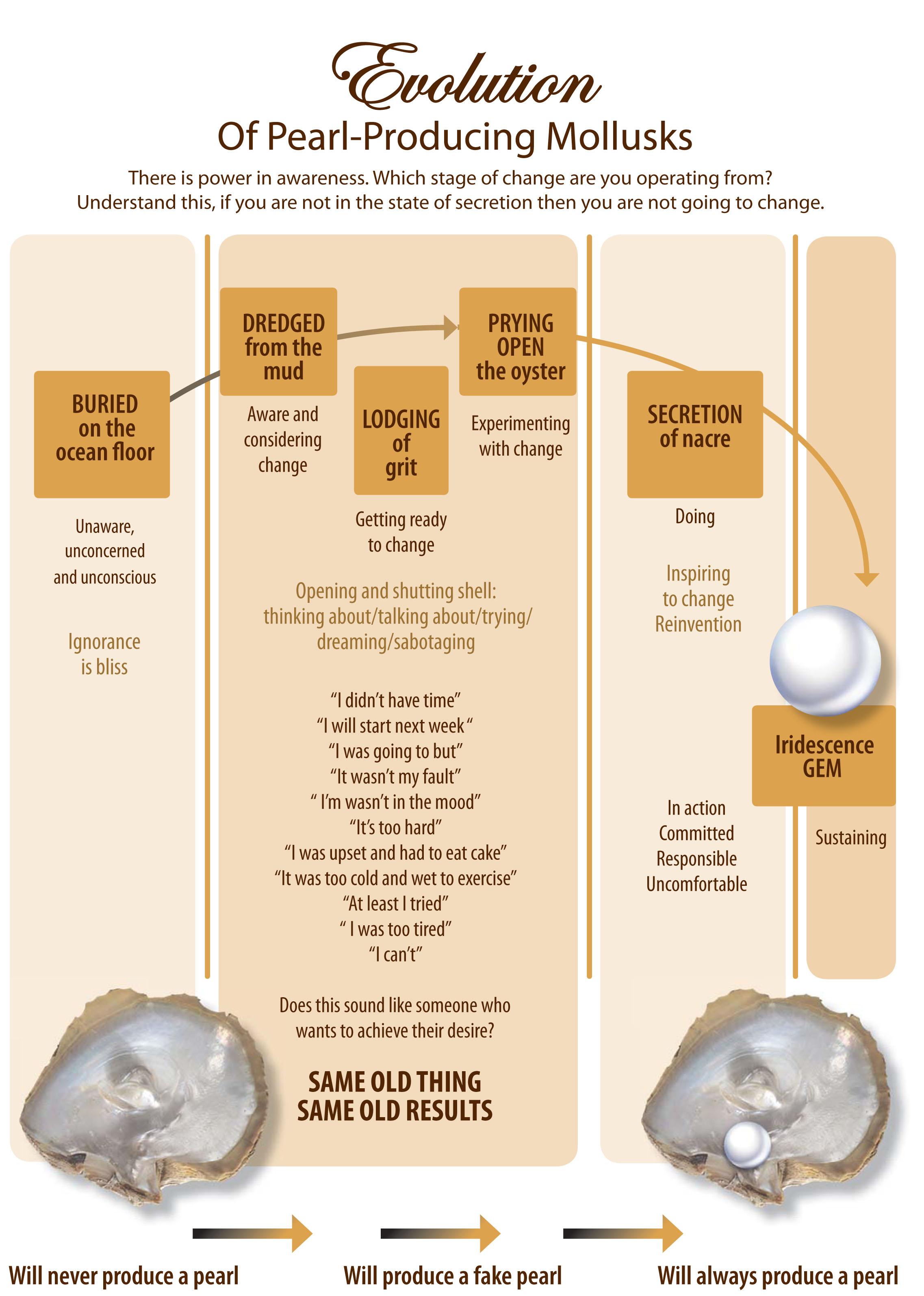 Evolution_mollusk2.indd